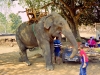 050103_113
