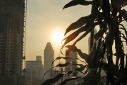 070322_006