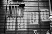 100923_058