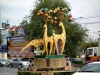120105_80