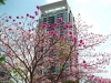 120106_02