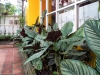 120106_11