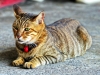 150919_028