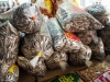 190101_033