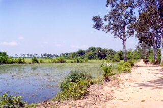 Lolei