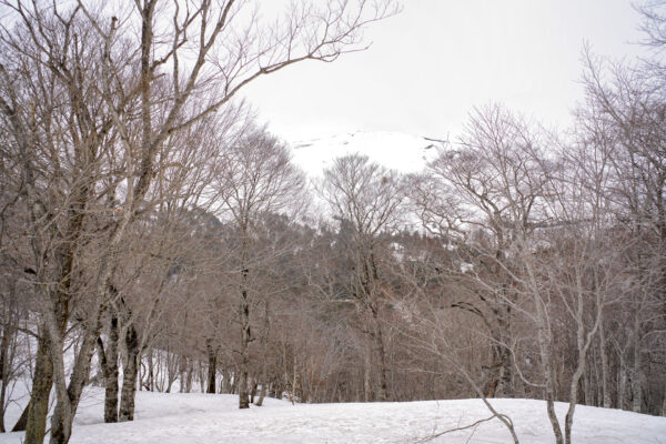 鳩待峠