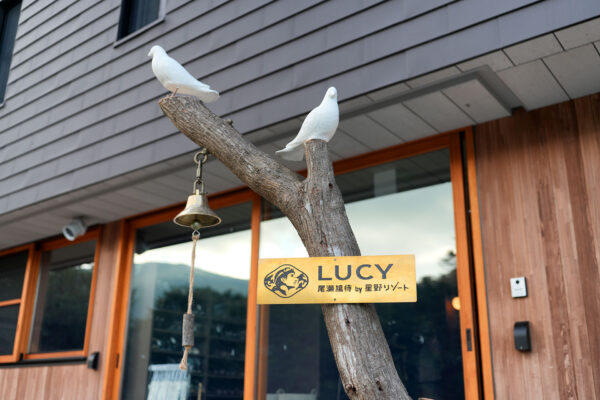 LUCY尾瀬鳩待