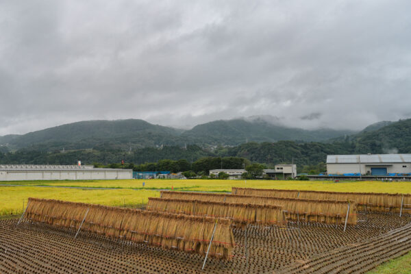 沼田花火大会