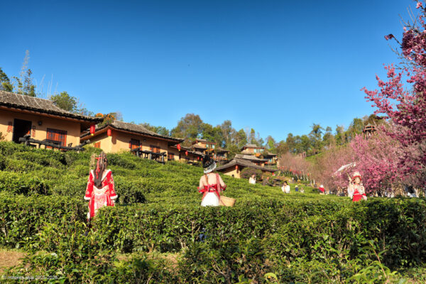 Lee Wine Ruk Thai Resort